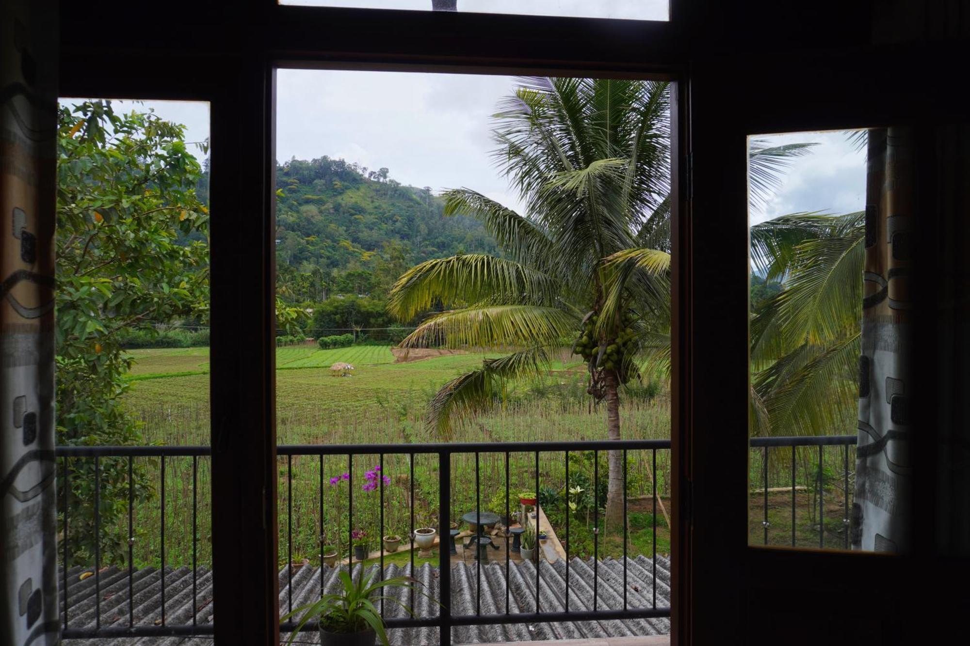 Ella Nature Valley Homestay Εξωτερικό φωτογραφία