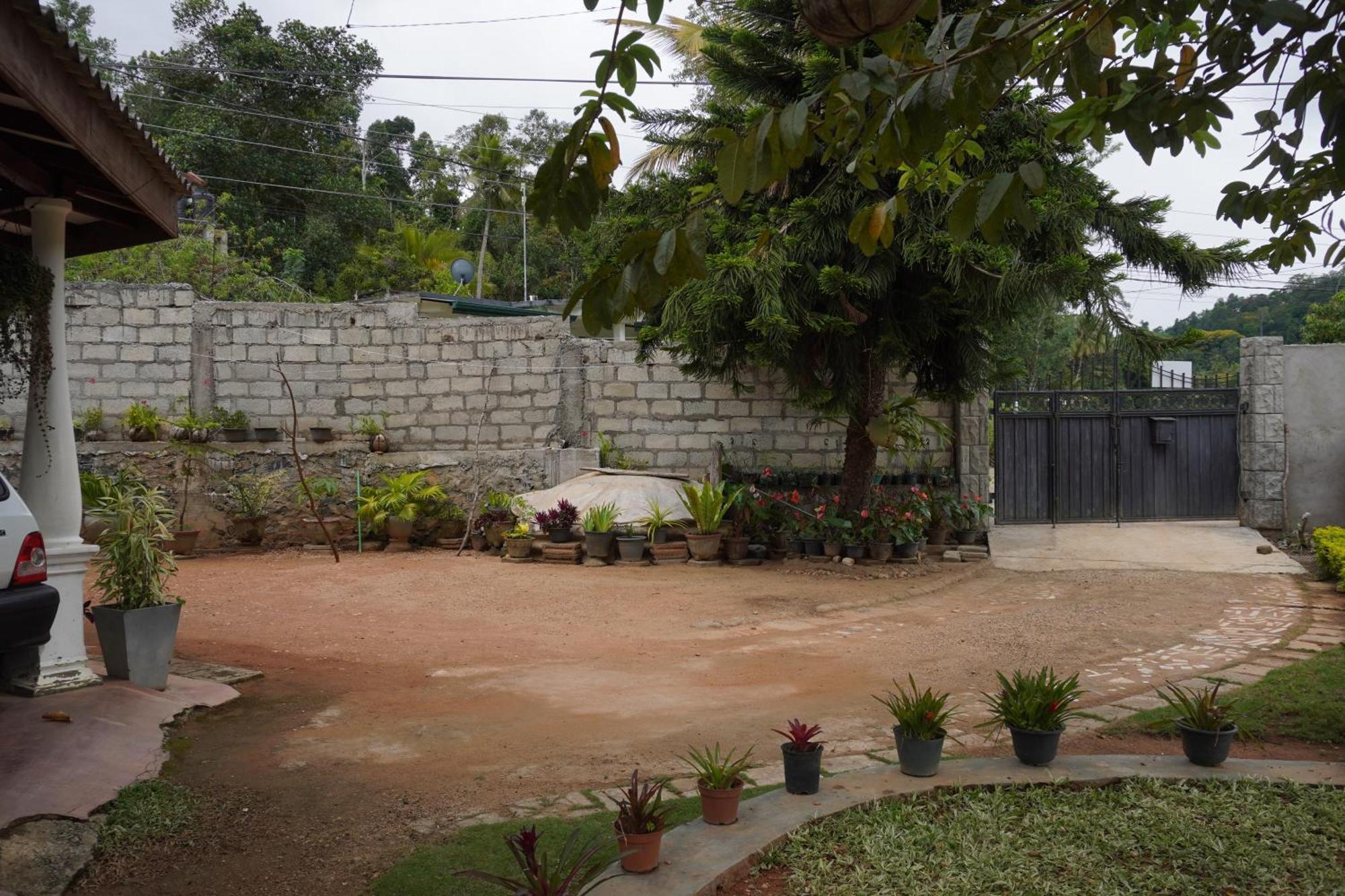 Ella Nature Valley Homestay Εξωτερικό φωτογραφία